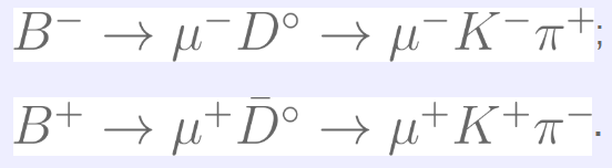 The Multi-Muon Analysis - A Recollection