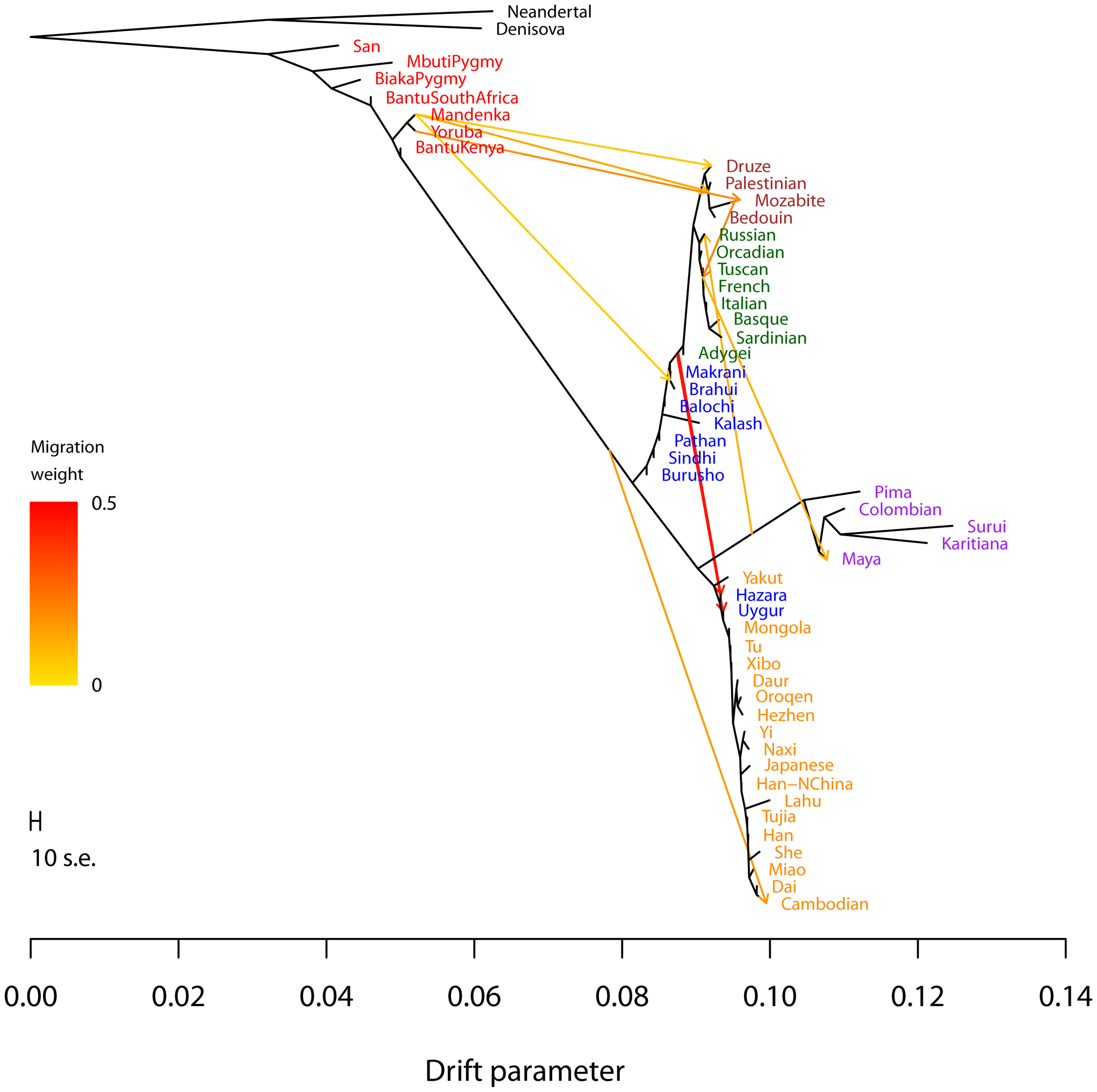 A Tree Of Life For Gene Flow Within Species | Science 2.0