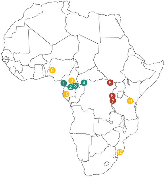 60,000 Year Evolutionary Gap Between African Pygmies And Neighboring ...