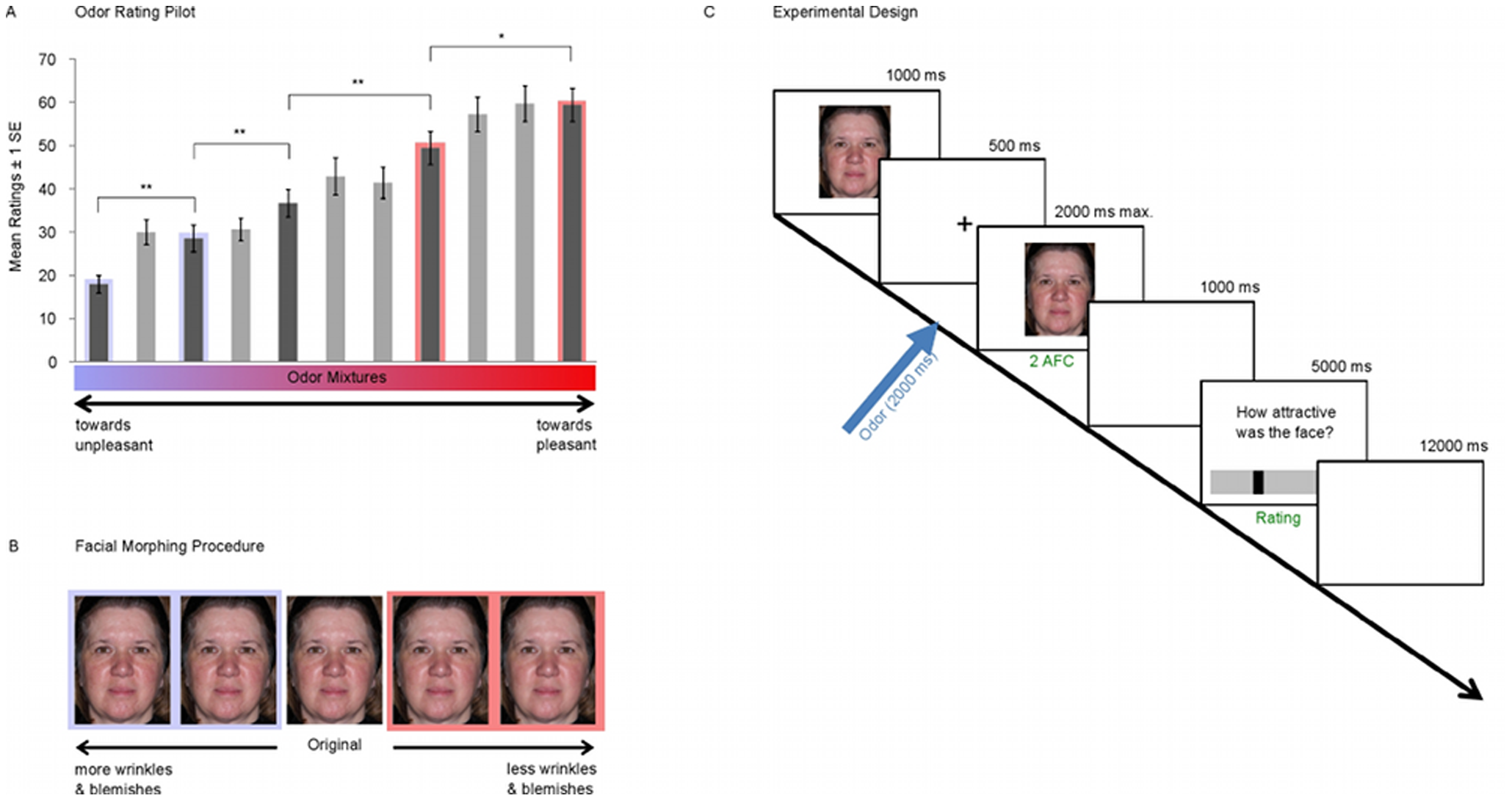 The Heart Of Chess: Biometrics Reveal Jan-Krzysztof Duda's Armageddon  Championship Confidence