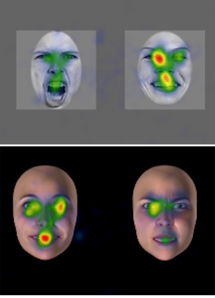 Amodal: We Begin Linking Vocal And Facial Emotion At Age 8