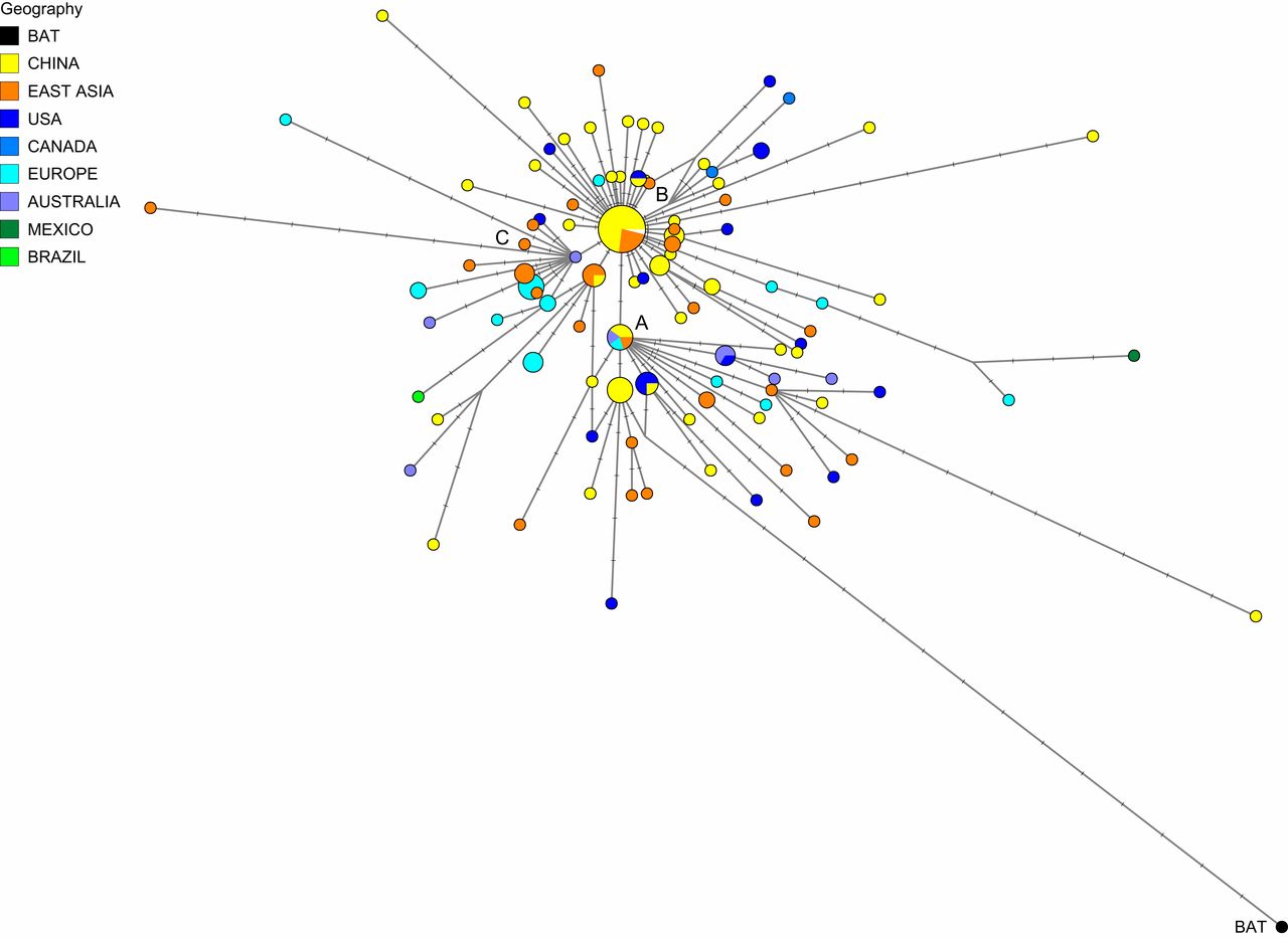 Wuhan To Europe To America - The Evolutionary Paths Of SARS-CoV-2