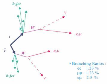 Modeling Issues Or New Physics ? Surprises From Top Quark Kinematics Study 