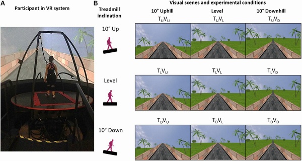 When What Goes Up Feels Down Is Not Postmodernism, It's Seeing Gravity Rather Than Feeling It