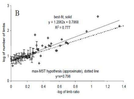 ratio tussen ledematen en aantal ledematen