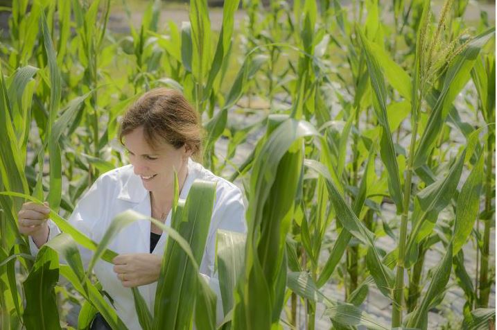 Just The Tip: How Maristem Biotech Could Lead To Higher Food Yields