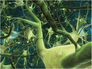 Possible Mind Possible Mind