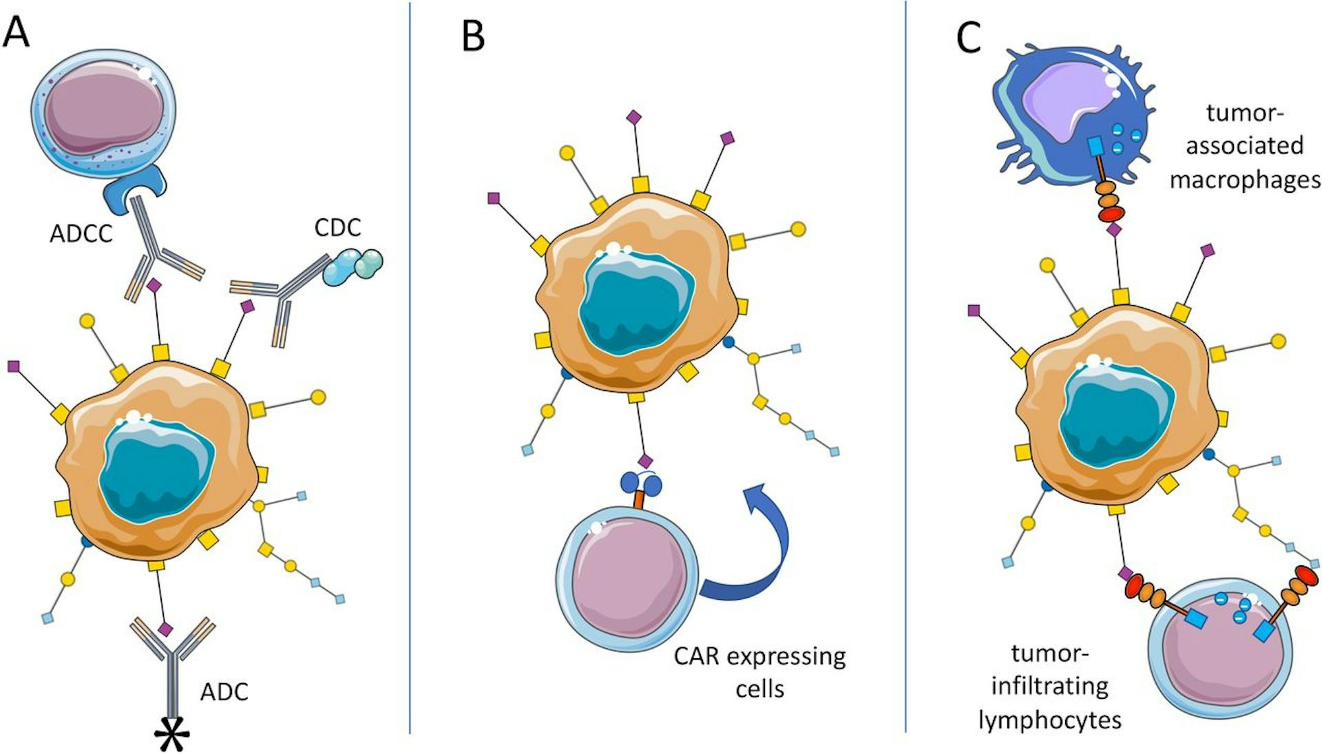 car_expressing_cells