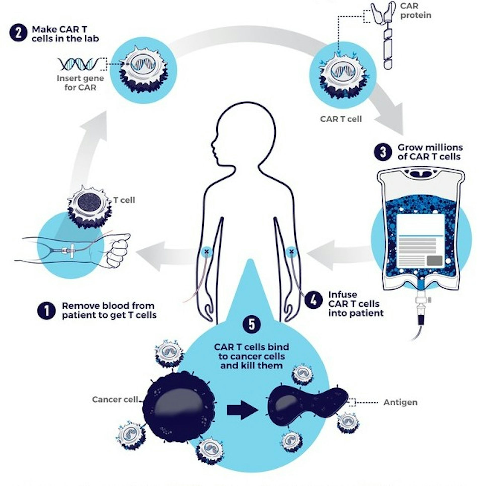 make_car-t_cells