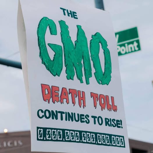 gmo_death_toll_still_0