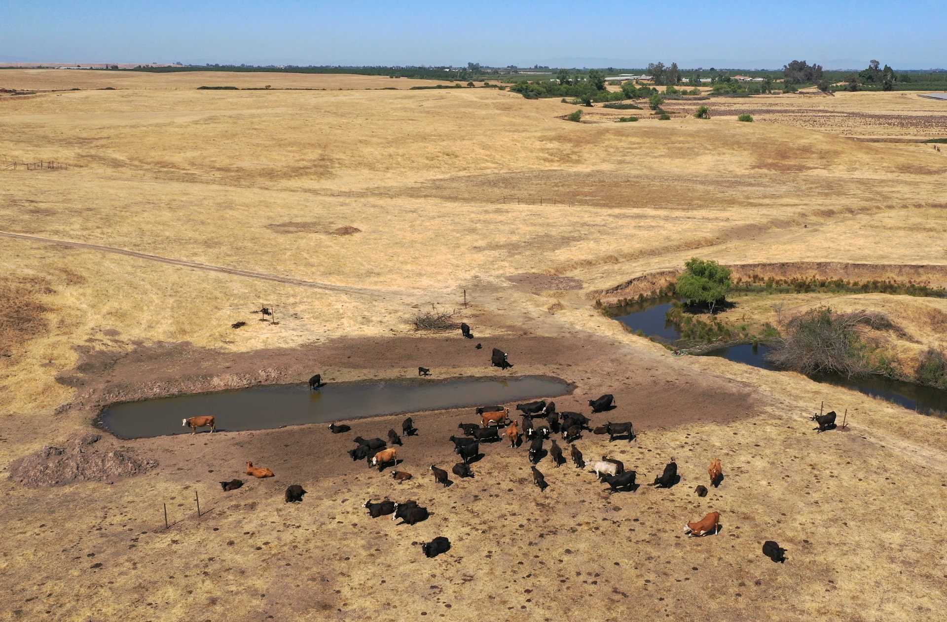 western_drought