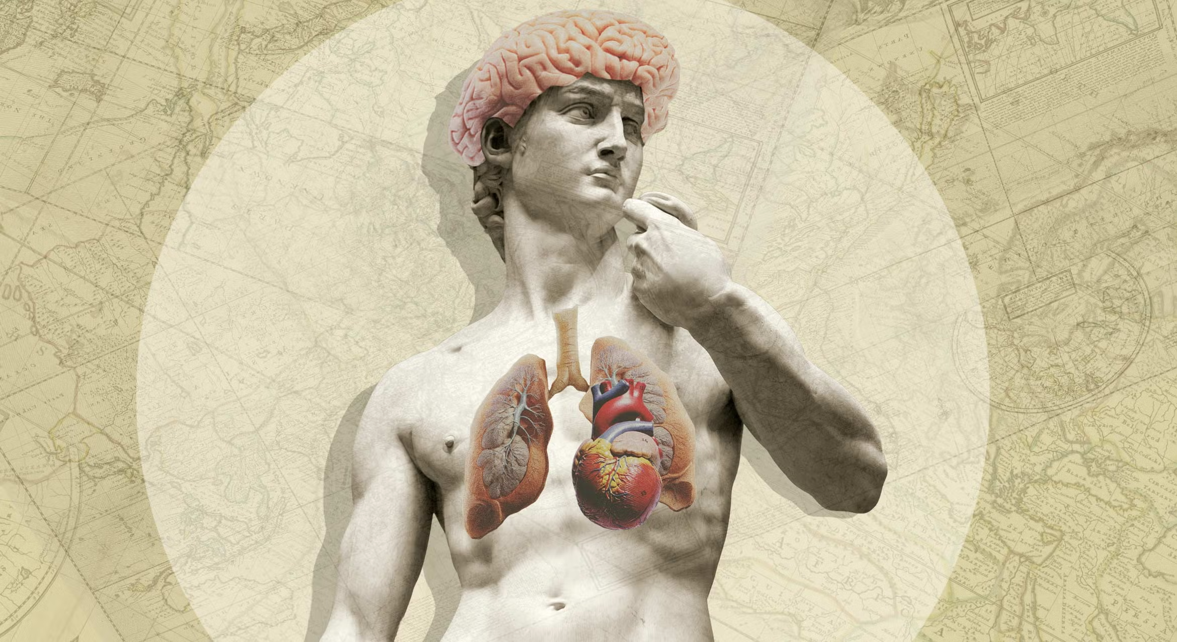 brain_body_interaction
