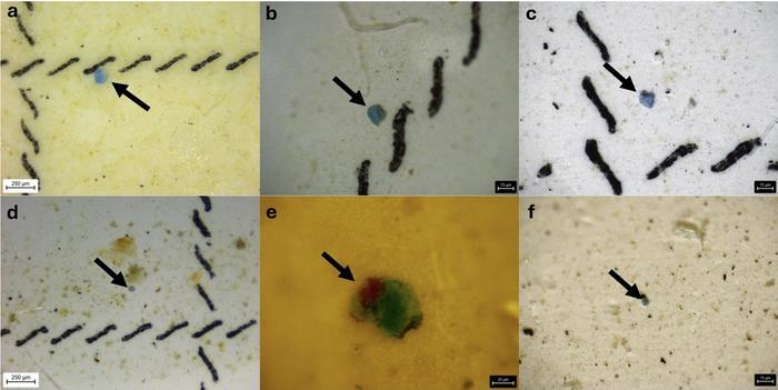 microplastics_are_the_new_vaccines_cause_autism_craze