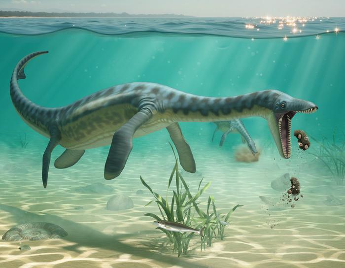 plesiosaurs