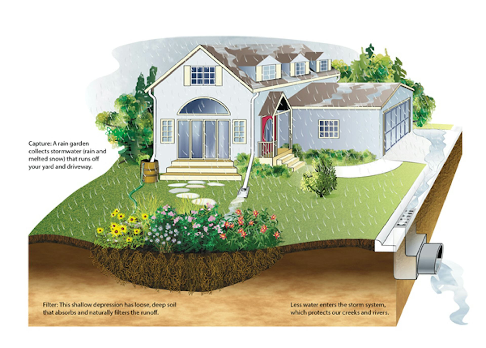 Rain Gardens: Placement Matters More Than Square Footage