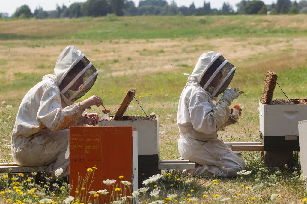 worship_the_hive