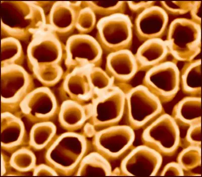 titania nanotubes for photocatalytic cell to produce hydrogen gas from water