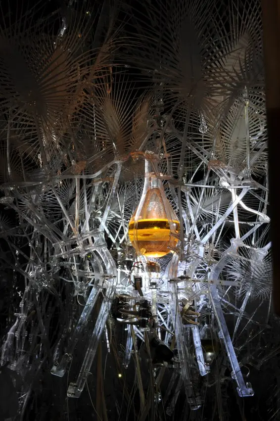 Hylozoic Venice Protocell Protocell drivers in flask at the Venice Architecture Biennale 2010 Hylozoic Venice Protocell Protocell drivers in flask at the Venice Architecture Biennale 2010