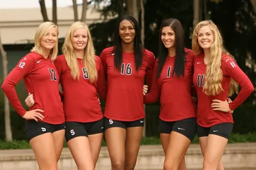 sweden volleyball sweden volleyball