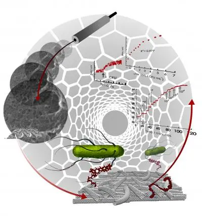 Carbon nanotube bacteria biosensor for typhoid fever Carbon nanotube bacteria biosensor for typhoid fever