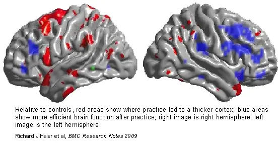 Tetris brain efficiency thicker cortex Tetris brain efficiency thicker cortex
