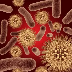 Bacteria Communication Bacteria Communication
