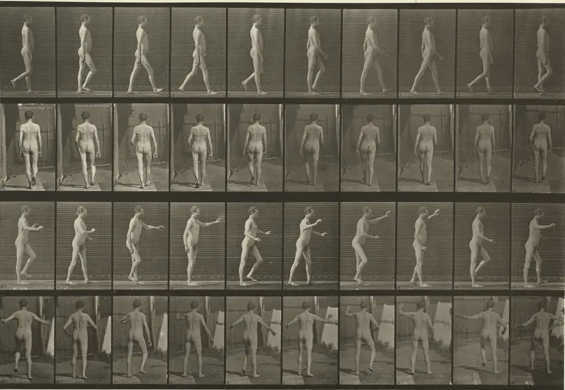 Ataxia movements