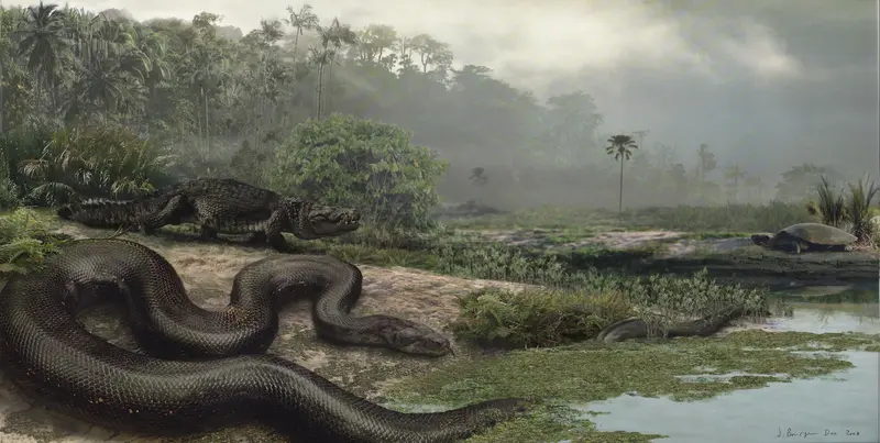 Titanoboa cerrejonesis Titanoboa cerrejonesis