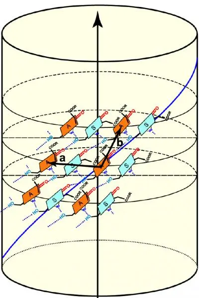 chlorophyll molecules in green bacteria arranged in helical spirals