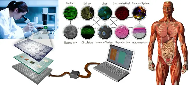 BIO-MIMETICS human body on a chip BIO-MIMETICS human body on a chip
