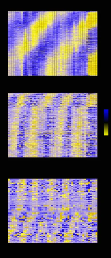 Time course of gene expression circadian rhythm Time course of gene expression circadian rhythm
