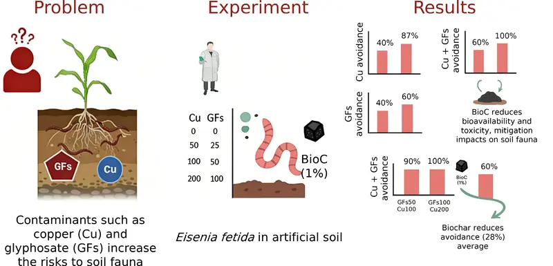 biochar_x_for_soil_remediation_of_copper_sulfate