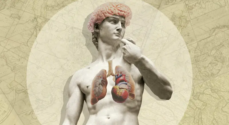 brain_body_interaction