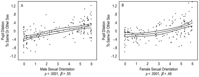 Pupil dilation to the same sex and the other sex