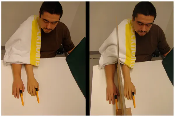 experience a third arm study experience a third arm study