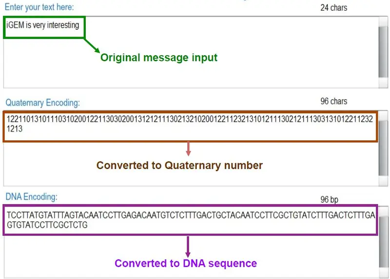 bacteria as a hard drive text to quaternary to dna bacteria as a hard drive text to quaternary to dna