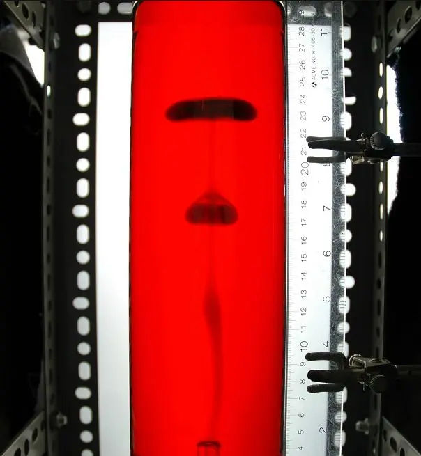 Pinched off vortex rings in a reacting plume