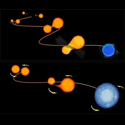 Blue stragglers star formation Blue stragglers star formation