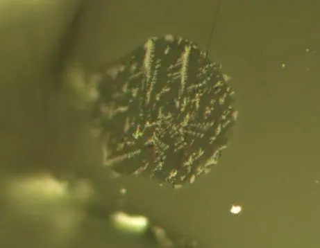 melt inclusions in lunar soil samples melt inclusions in lunar soil samples