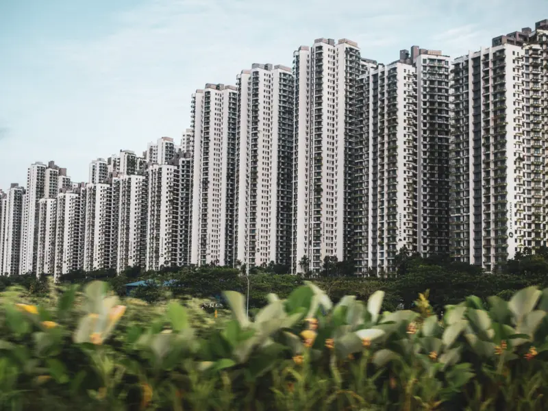 forest_city