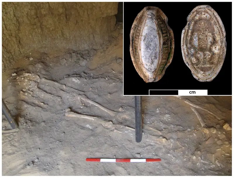 /files/images/3000 year old cancer Skeleton Sk244-8 in its original burial position in the western chamber of G244 /files/images/3000 year old cancer Skeleton Sk244-8 in its original burial position in the western chamber of G244