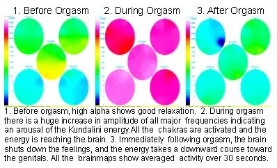 orgasm