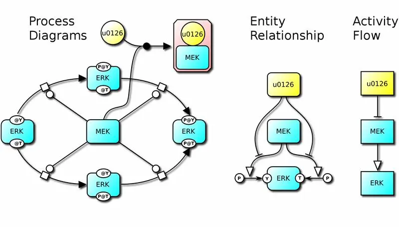 Graphic showing the catalysis of ERK extracellular signal-regulated kinase phosphorylation by the kinase MEK in the growth factors signalling pathway