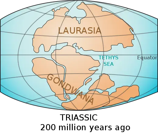 Laurasia-Gondwana Laurasia-Gondwana