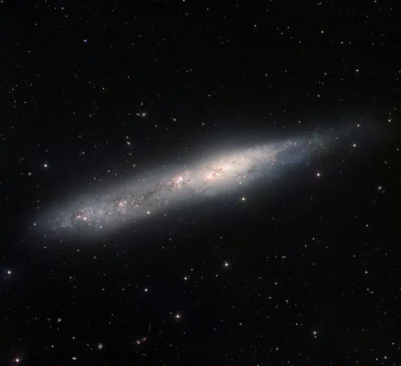 NGC 55 NGC 55