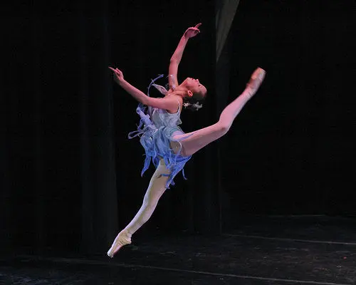 ballet dancer ballet dancer