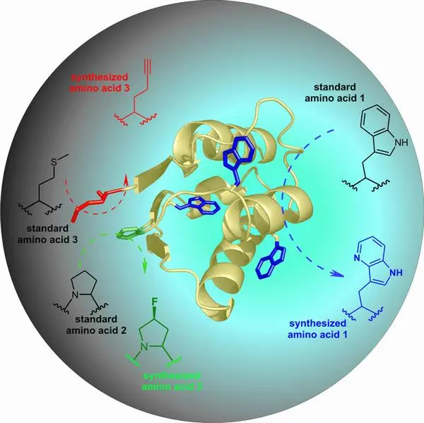 three synthetic amino acids in one protein