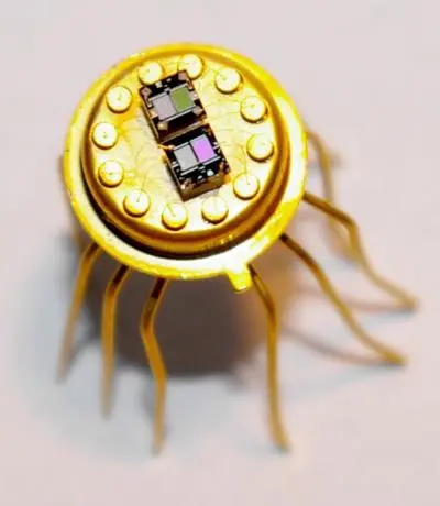 metal oxide sensors for fresh pineapple metal oxide sensors for fresh pineapple