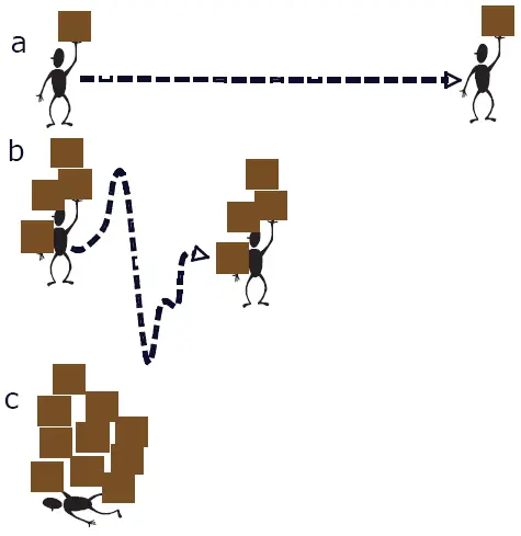 carl wieman cognitive loads carl wieman cognitive loads