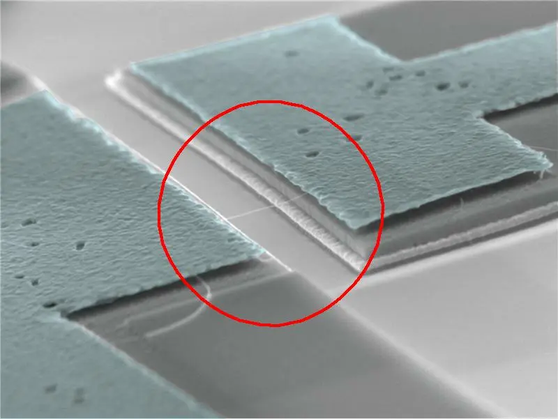tiny string in this electron microscope image is 800 nanometers tiny string in this electron microscope image is 800 nanometers
